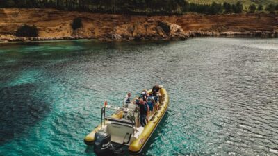 From Can Picafort: Dolphin Watching and Cave Boat Trip