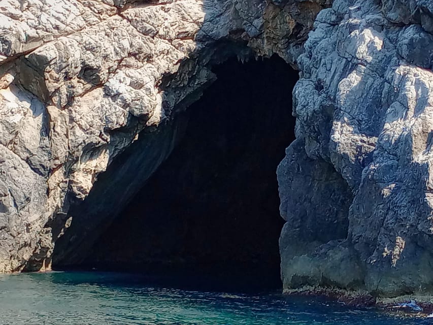 From Can Picafort: Dolphin Watching and Cave Boat Trip - The Cap de Pinar and sea cave stop