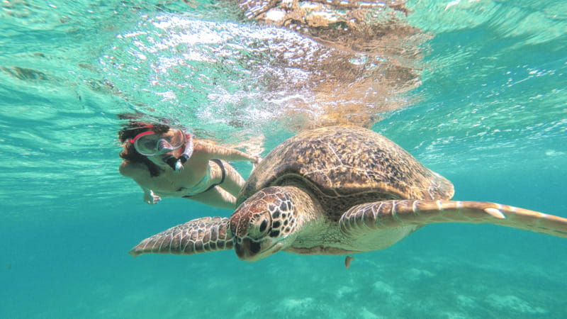 From Cancun: Tulum and Akumal Cenote and Turtle Swim Tour - Should you book this Cancun day trip?