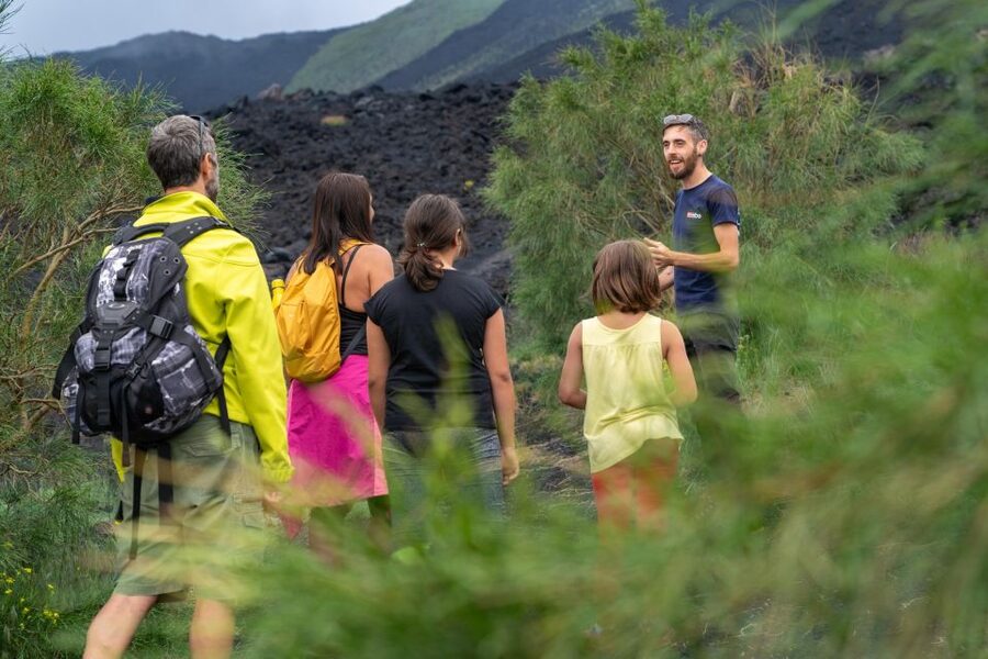 From Catania: trek on Mount Etna, Lava Cave & tasting Tour - The Ragalna tasting: honey, oil, and Etna wine