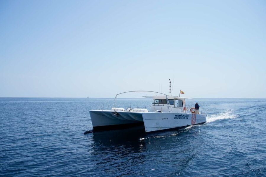 From Denia: Boat Trip to Tallada Cave with Optional Swim - The Marine Reserve and the optional swim