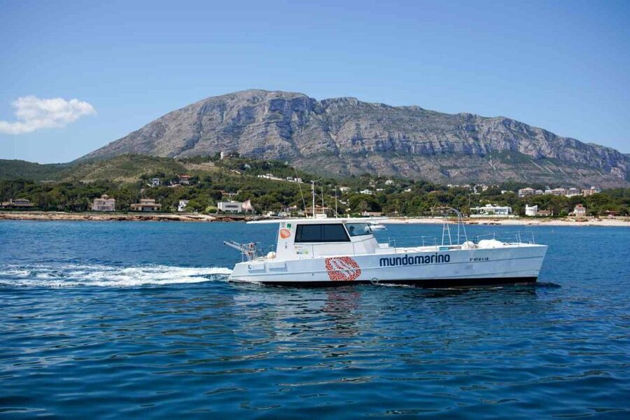 From Denia: Boat Trip to Tallada Cave with Optional Swim - Practical tips for a better boat ride