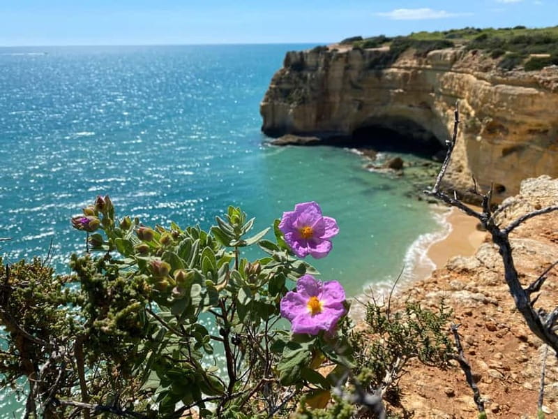 From Faro: Benagil Cave and Seven Hanging Valleys Trail Tour - Key points to know before booking