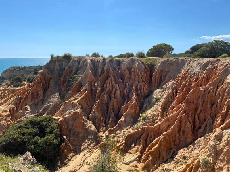 From Faro: Benagil Cave and Seven Hanging Valleys Trail Tour - Who should book this tour?