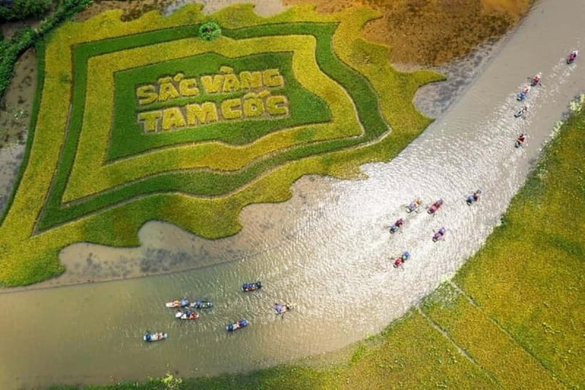 From Hanoi: Tam Coc Boat Trip and Hoa Lu & Mua Cave Tour - Why this day trip works from Hanoi