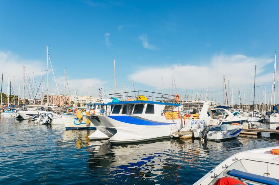 From Lagos: Kayaking and Boat Cave Explorer Tour - Is $41 a fair price?