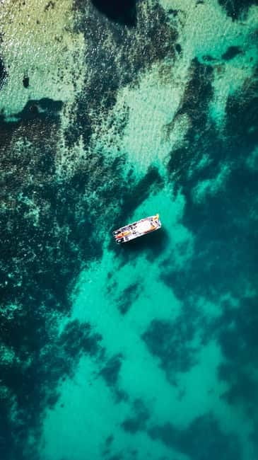 From Lagos: Ponta da Piedade Caves Kayak Tour from Catamaran - Key points to know before booking
