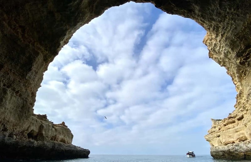 From Lagos: Scenic Cruise to the Benagil and Carvoeiro Caves - Who should book this Lagos cave trip?
