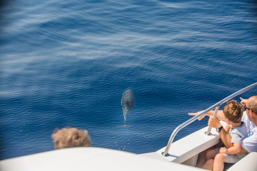 From Lefkimmi: Paxos, Antipaxos & Blue Caves Speedboat Tour - Key points to know before you book