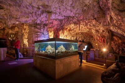 Lake Bled & Postojna Cave with Entry Tickets