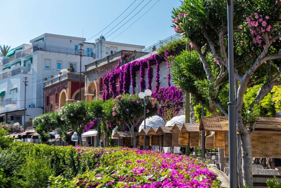 From Naples: Capri, Anacapri, and Blue Grotto Full-Day Trip - What the $192.58 price really covers