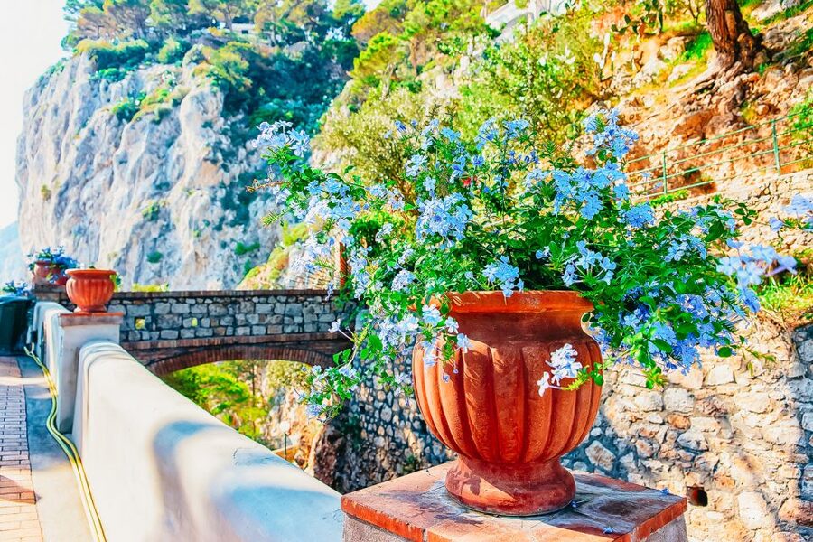 From Naples: Capri and Blue Grotto Day Tour - Arriving at Marina Grande