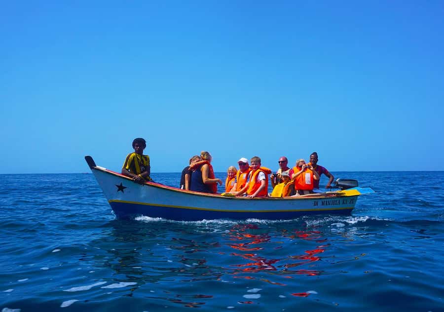 From Praia: Boat Trip, Snorkeling, Cave & BBQ on the Beach - Key points to know before booking