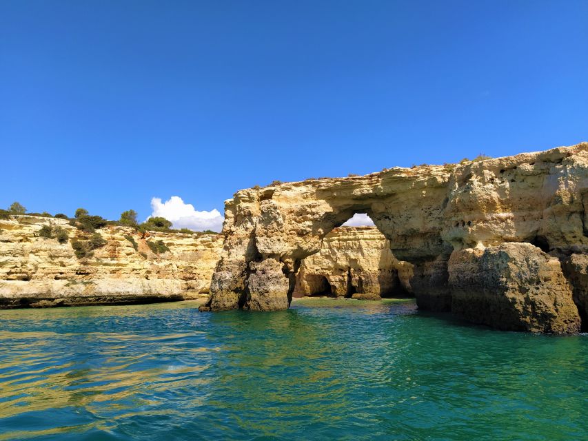 From Vilamoura: 2.5-Hour Benagil Cave and Dolphins Boat Tour - Who will enjoy this Vilamoura boat tour most?