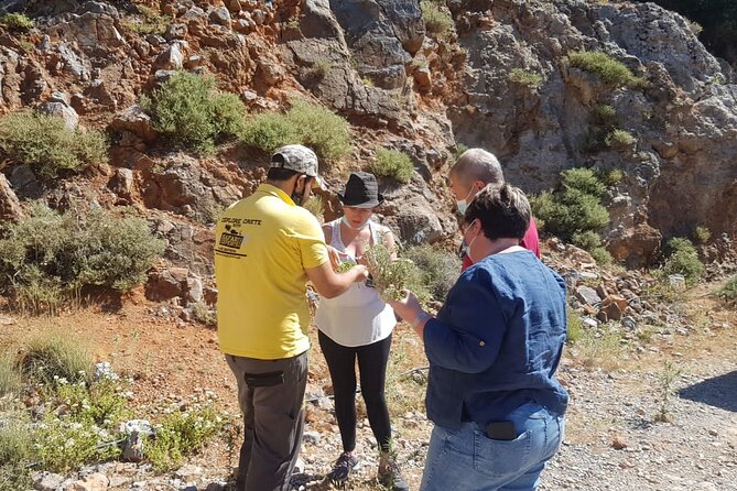 Full-Day Small-Group Tour in Crete with Zeus Cave Visit - Dikteon Cave and the Zeus Cave problem
