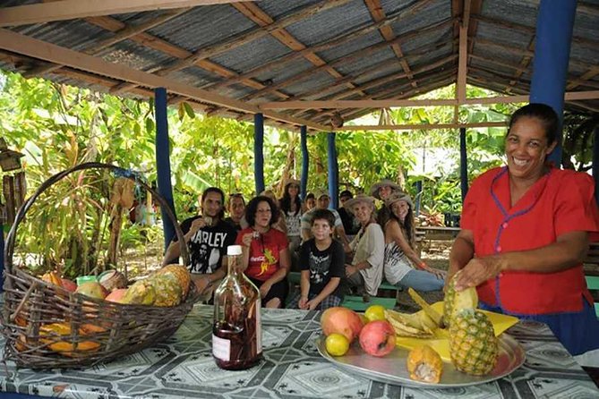 Full-Day Tour 4x4 ATV, Water Cave, and Snorkeling Cruise - One day, two very different Punta Cana experiences
