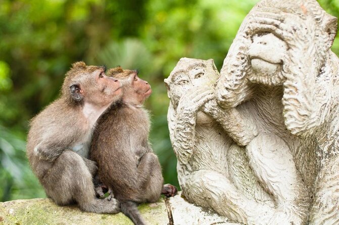Gorilla Cave ATV Bali Ubud, Monkey Forest, Temple, and Lunch - What Makes This Ubud Tour Worth Considering