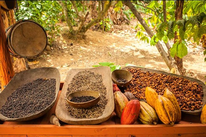 Half-Day Adventure 4x4 ATV, Water Cave and Dominican Culture - What to bring and what to leave at the hotel