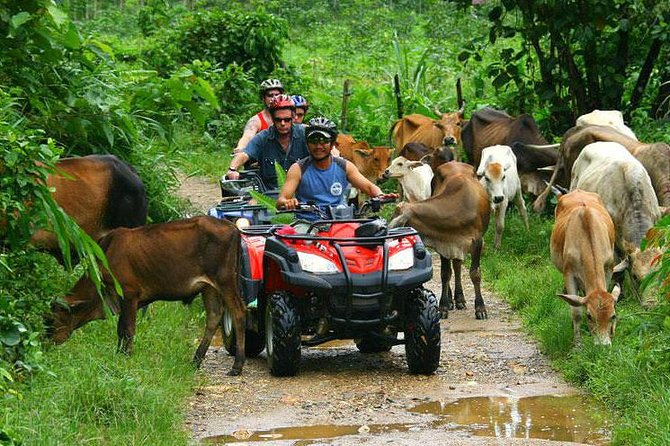 Half-Day Adventure 4x4 ATV, Water Cave and Dominican Culture - Starting at the ranch: safety instructions and ATV setup