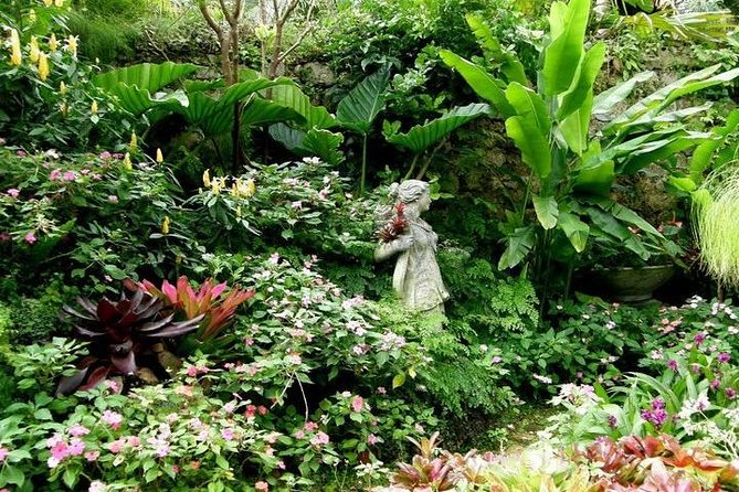 Half-Day Barbados Tour Harrisons Cave Hunte's Garden and Bathsheba - Three sides of Barbados before lunch