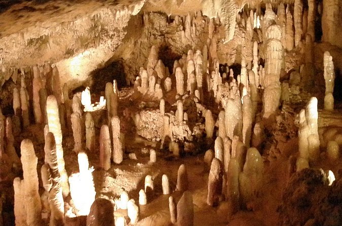 Half-Day Barbados Tour Harrisons Cave Hunte's Garden and Bathsheba - Bathsheba Beach: Barbados in a short coastal glimpse