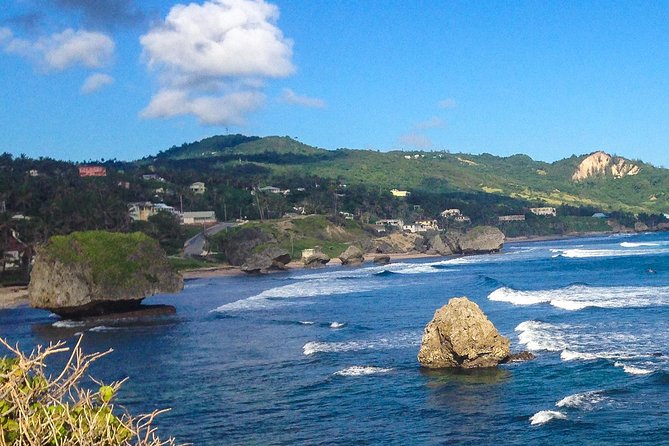 Half-Day Barbados Tour Harrisons Cave Hunte's Garden and Bathsheba - Is $140 good value?