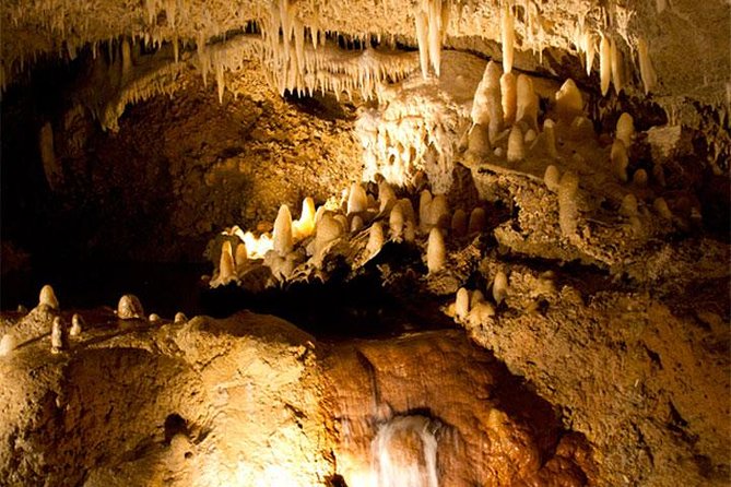 Half-Day Barbados Tour Harrisons Cave Hunte's Garden and Bathsheba - Huntes Garden: a quiet change of pace