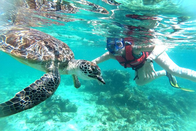 Half-Day Sea Turtle and Cenote Snorkeling Tour from Cancun & Riviera Maya - Food, equipment, and the small extras