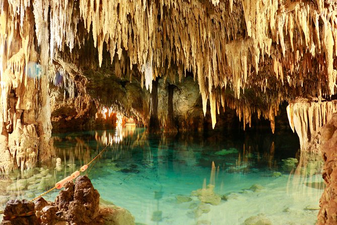 Half-Day Sea Turtle and Cenote Snorkeling Tour from Cancun & Riviera Maya - Is this suitable for children and weaker swimmers?