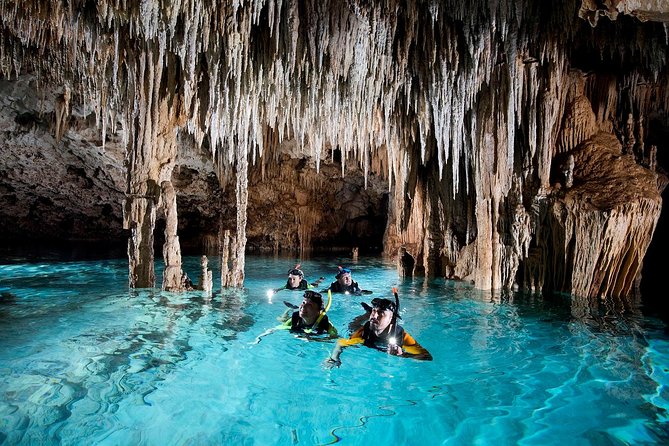 Half-Day Sea Turtle and Cenote Snorkeling Tour from Cancun & Riviera Maya - Shared group or private experience?