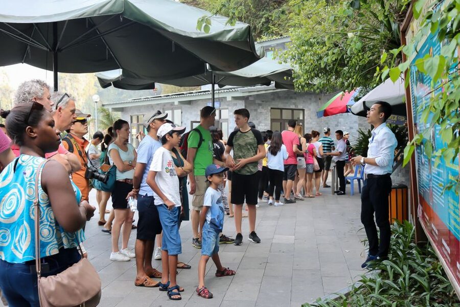 Hanoi: Islands & Caves Ha Long Cruise with Lunch & Kayaking - The Pace, Crowds, and Guide Service