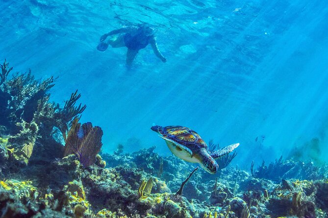 Hidden Cenote Swim: Snorkeling, Sea Turtles and Beachside Lunch - The four-and-a-half-hour tour that can become a full day