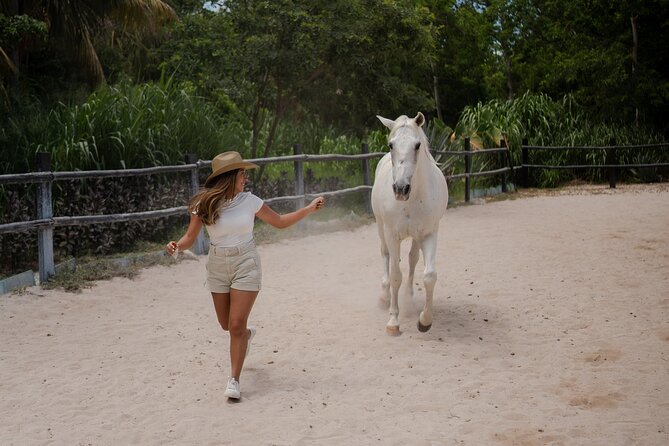 Horseback Riding and Cenote Swim from Cancun or Playa del Carmen - Pickup from Cancun or Playa del Carmen