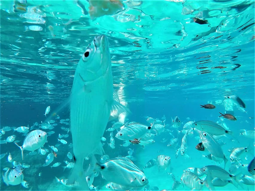 Ibiza: Snorkeling and SUP Paddle, Beach and Cave Tour - Leaving San Antonio for Ibiza’s west coast