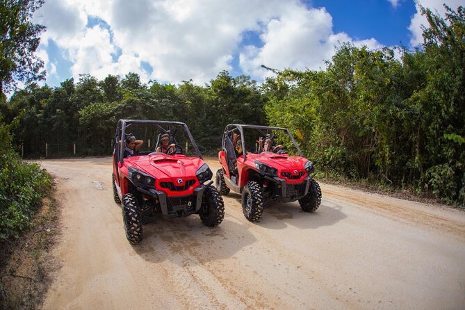 Jungle Buggy Tour from Playa del Carmen Including Cenote Swim - What the three-hour adventure is really like