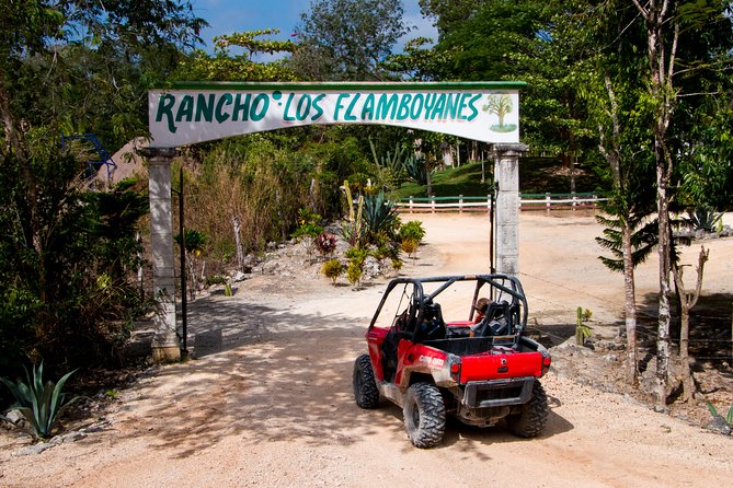 Jungle Buggy Tour from Playa del Carmen Including Cenote Swim - The cenote swim and cave visit