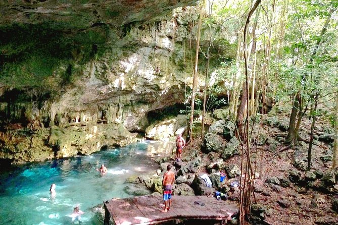 Jungle Buggy Tour from Playa del Carmen Including Cenote Swim - Is $110.29 a fair price?