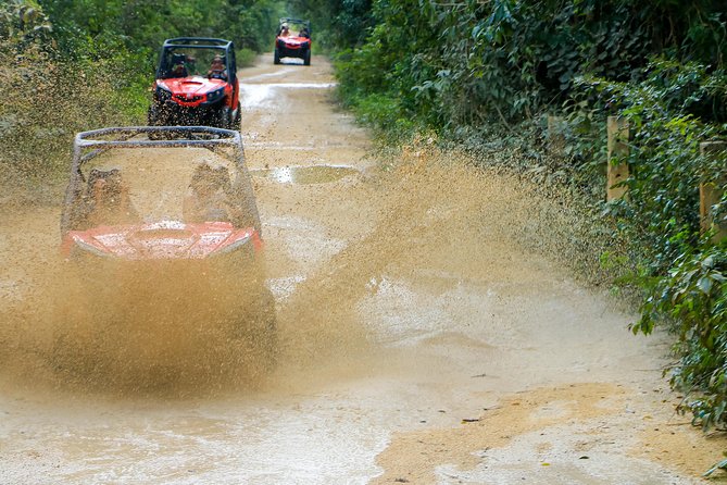 Jungle Buggy Tour from Playa del Carmen Including Cenote Swim - Who should book this Playa del Carmen tour?