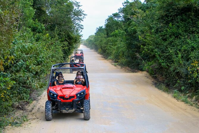Jungle Buggy Tour from Playa del Carmen Including Cenote Swim - Pickup from Playa del Carmen and the ride to the jungle