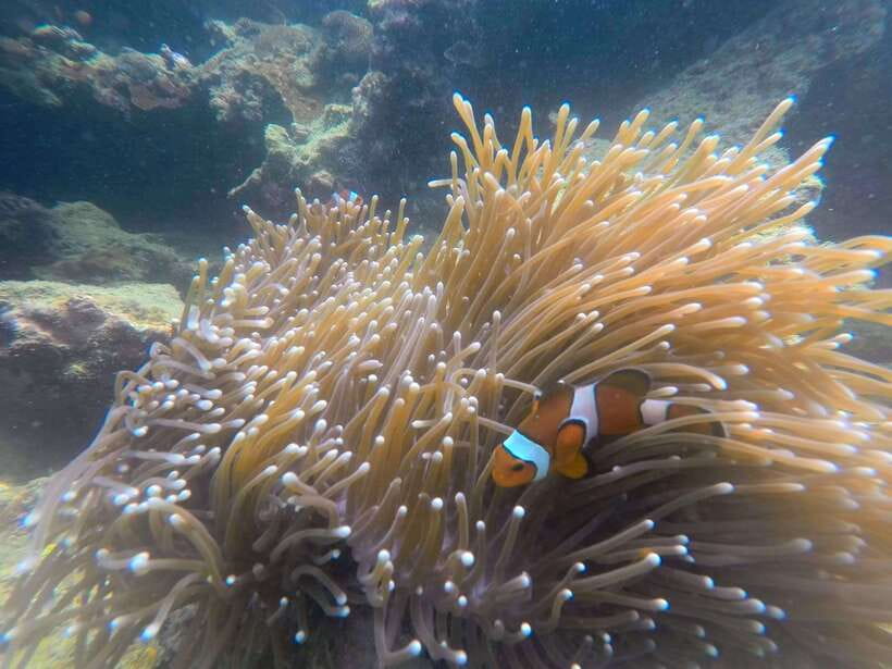 Koh Lanta: 4-Island Adventure Tour to Emerald Cave - What is included, and what the price means
