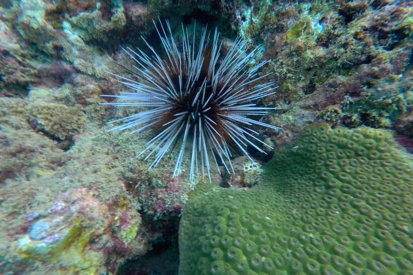 Koh Lanta: 4-Island Adventure Tour to Emerald Cave - Packing advice that will make the day easier