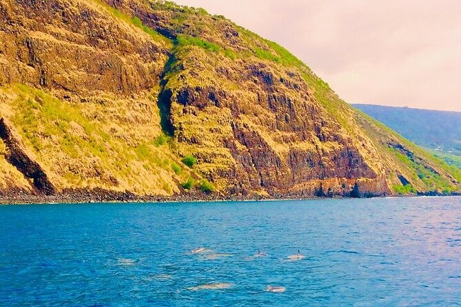 Kona Snorkel Tour: Captain Cook Reef Snorkel, Dolphin & Sea Caves - Sea caves, lava tubes, and the slower ride home