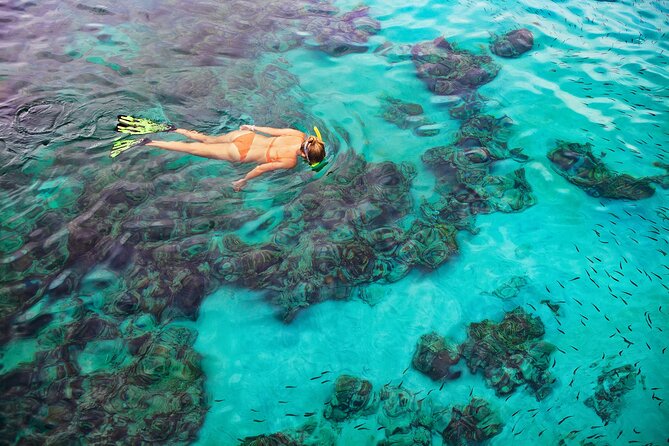 Kona Snorkel Tour: Captain Cook Reef Snorkel, Dolphin & Sea Caves - Who will enjoy this Kona outing most