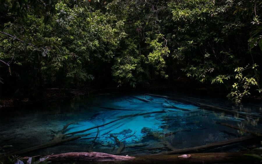 Krabi: Tiger Cave, Hot Springs and Emerald Pool Jungle Tour - The hot spring waterfall: start with warm water