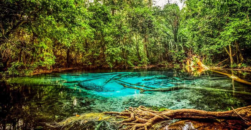 Krabi: Tiger Cave Temple, Emerald Pool and Hot Springs Tour - Is $59 good value?