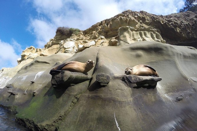 La Jolla Sea Caves Kayak Tour For Two (Tandem Kayak) - Starting at Avenida de la Playa in La Jolla