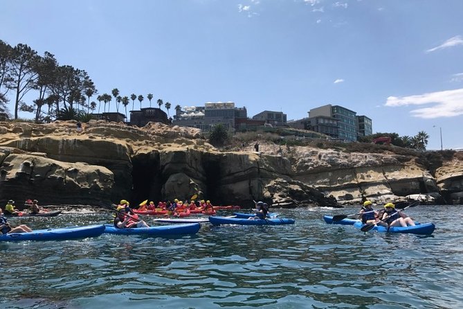 La Jolla Sea Caves Kayak Tour For Two (Tandem Kayak) - La Jolla’s Kelp Beds and Marine Life