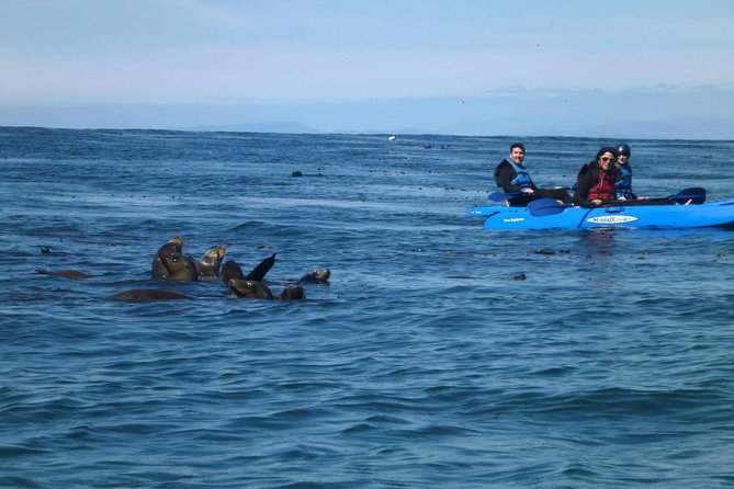La Jolla Sea Caves Kayak Tour For Two (Tandem Kayak) - Learning to Paddle Before the Waves