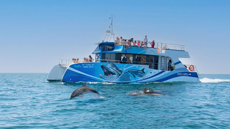 Lagos: Dolphins & Caves - Catamaran - Searching the Atlantic for wild dolphins