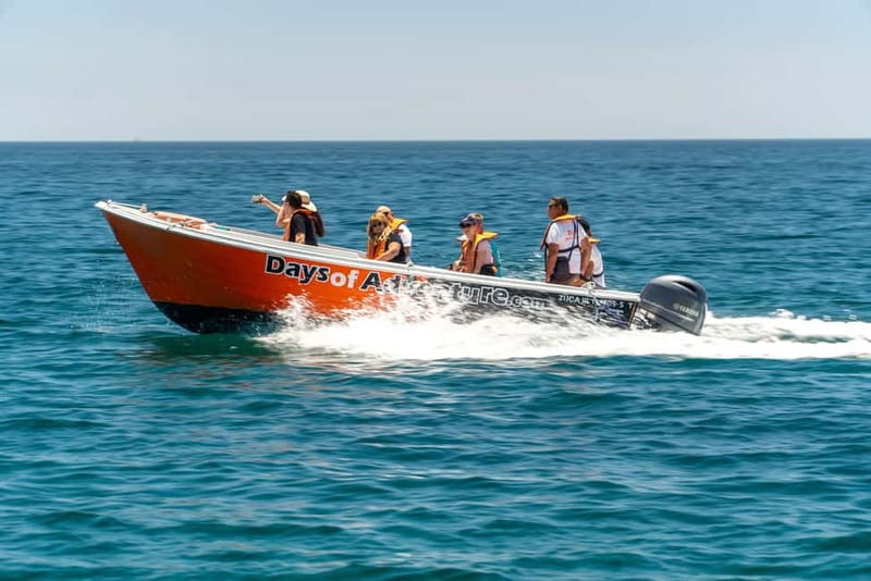 Lagos: Ponta da Piedade Caves Boat Tour - A Scenic Ride With a Little Excitement